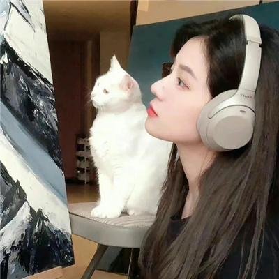 灵域第六季